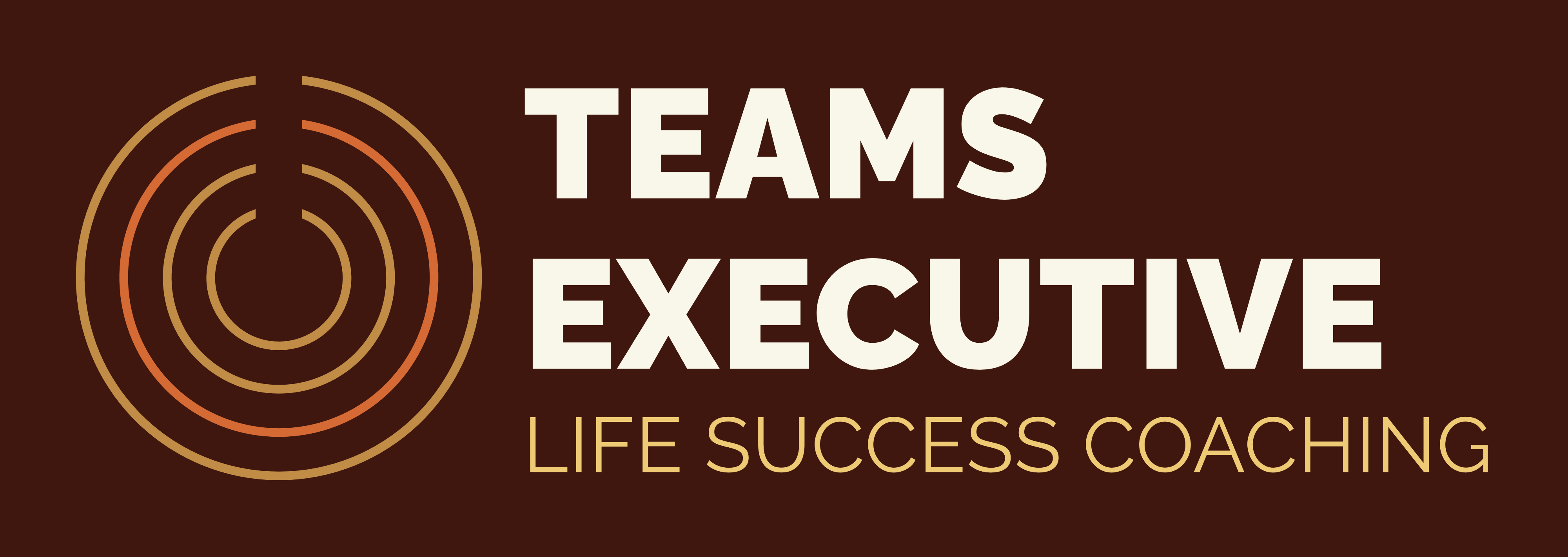 teams-executive-coaching.com